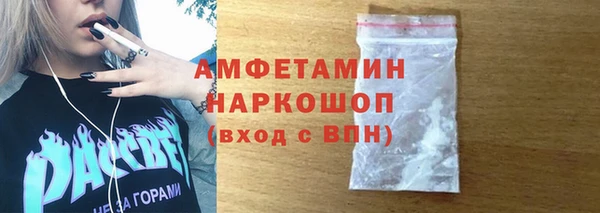молекула духа Арсеньев