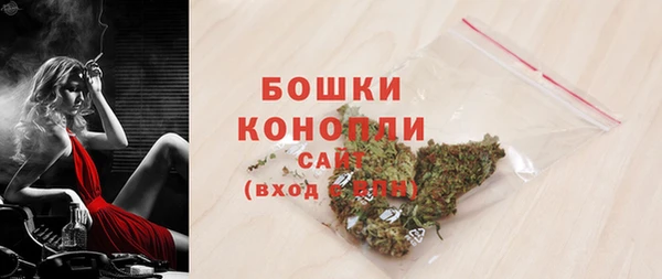 молекула духа Арсеньев
