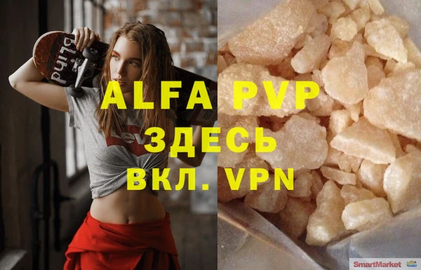молекула духа Арсеньев