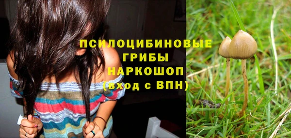 эйфоретик Армянск