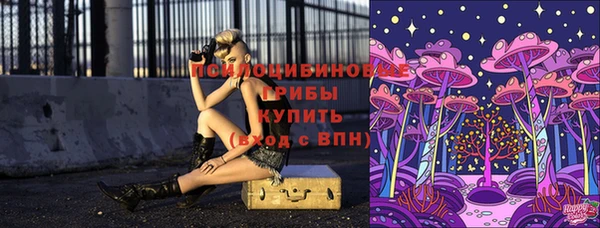 молекула духа Арсеньев