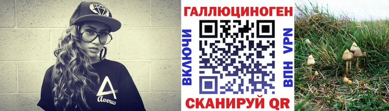 Псилоцибиновые грибы Cubensis  MEGA ссылки  Бирюч 